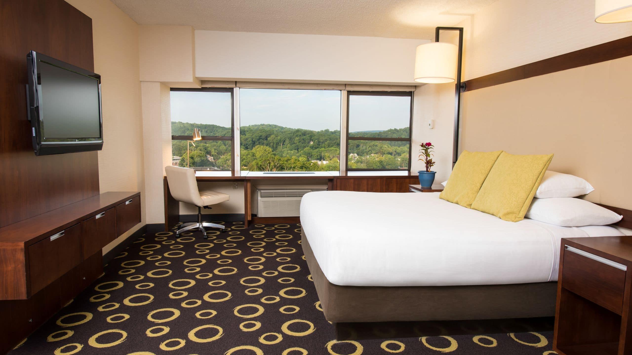Hotel Hyatt Regency Morristown